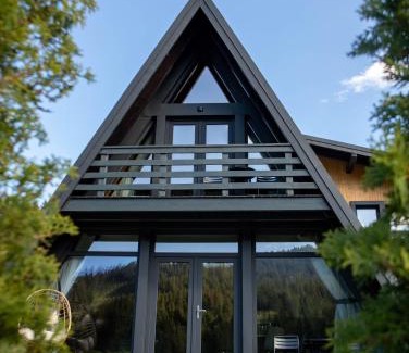 Poiana Teiului Ski Chalet | Cabana VeMont