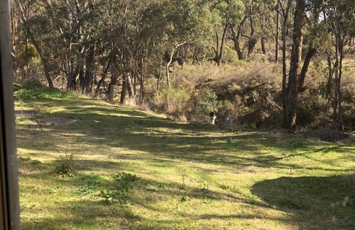 O'connell Bed & Breakfast | Cabin 1- 2 room with use of infrastructure like pool, spa, tennis court. kitchen