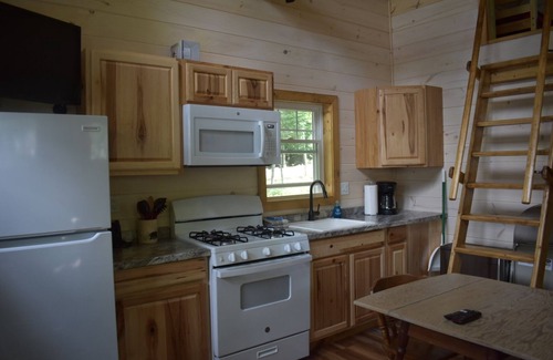 Northeast Somerset House | Cabin #1 Black Bear