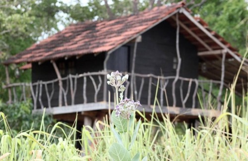 Habarana Cabin | Cabin 2 Twin Beds - Eagles Wing's Guest House