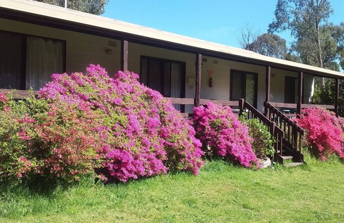 Jamieson Cabin | Cabin 3-Emerald Park