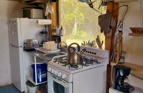 Jamaica Cabin | Cabin 7 min to Ski Stratton, Wood-Fired Sauna, Brook View, Woodstove, Dogs OK