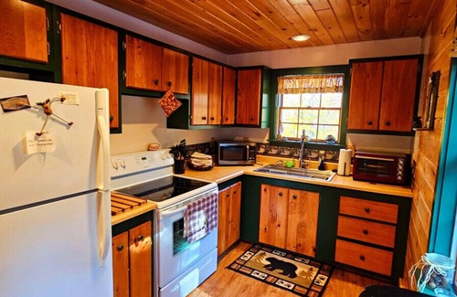 Beaver Cove Cabin | Cabin*ATV/Snowmobile Access*Fire pit*Wildlife