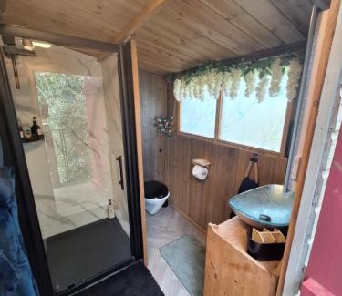 Charing House | CABIN in hosts huge garden CHILD FRIENDLY with Hens Cats firepit Marshmallows Pool