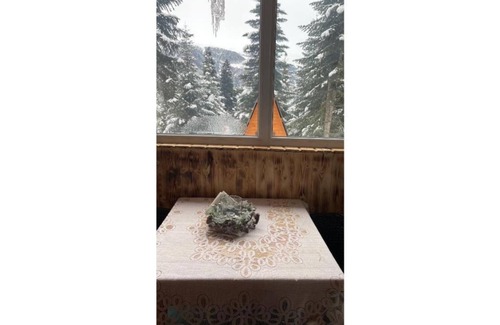 Bagvdanari Cottage | Cabin in the forest, near to ski lift, provide breakfast and dinner