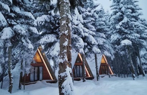 Bagvdanari Cottage | Cabin in the forest, near to ski lift, provide breakfast and dinner