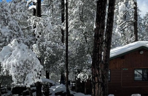 Ponderosa Park Cabin | Cabin in the Ponderosa Pines