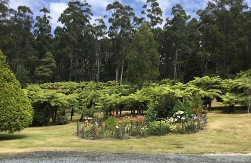 Pipers River Apartment | Cabin in the Tasmanian Bush - Tranquility!