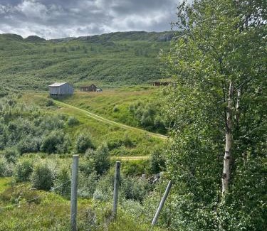 Odda House | Cabin in Valldalen, Røldal