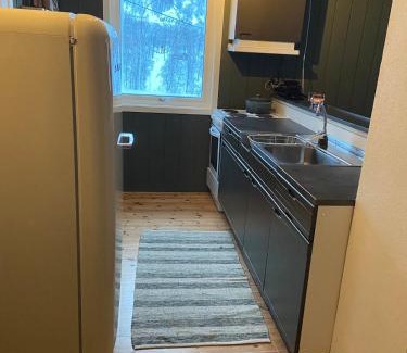 Odda House | Cabin in Valldalen, Røldal