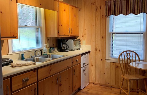 Rabun Gap Cabin | Cabin on a hillside overlooking beautiful Valley Springs Lake pet friendly (dog)