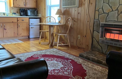 Rabun Gap Cabin | Cabin on a hillside overlooking beautiful Valley Springs Lake pet friendly (dog)