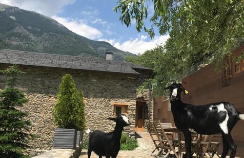 La Cortinada House | Cal Batlle Casa Rural