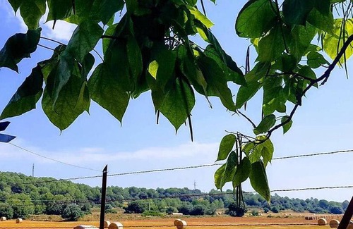 Crespia Bed & Breakfast | CAL RUSC ALLOTJAMENT RURAL