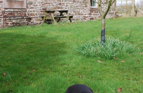 Farlam House | Calf Close Cottage: a rural retreat, dog-friendly, eco-friendly