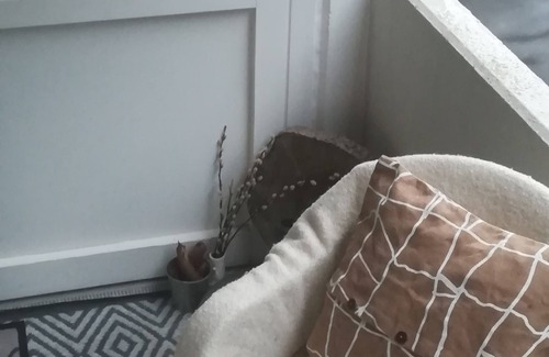 Hahnenklee Apartment | Calm. Cozy. Sunny. Cheap 3 bedroom apartment