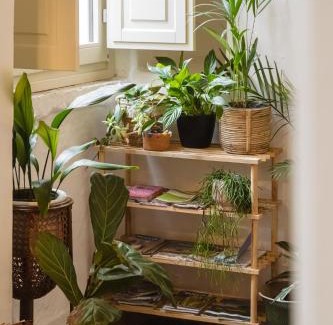 Putignano Apartment | CALMAPIANTA home for green lovers