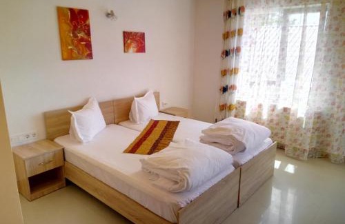 Hunedoara House | Camere De Inchiriat Carpati