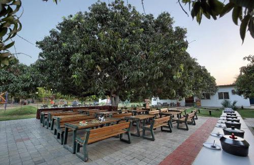 Borsad Resort | Camp Dilly
