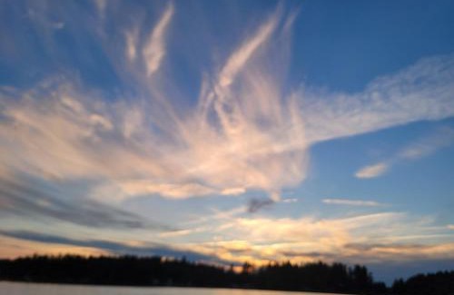 Colton House | Camp Lake Bear