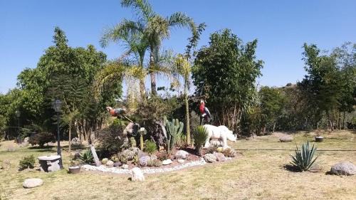 Puebla Other | Campamento Hermoso Natural en Puebla