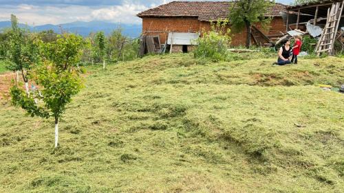Diber Other | Campeggio2A
