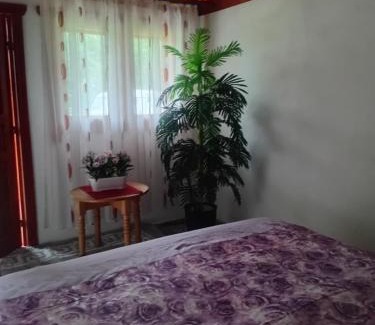 Ceahlau Other | Camping-Dor de Munte