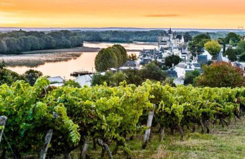 Le Lion-d'Angers Other | Camping - eeiigf