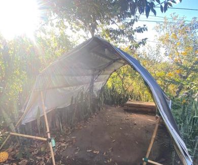 Vale do Capao Other | Camping Filhos da Floresta - Vale do Capão