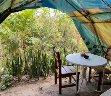 Vale do Capao Other | Camping Filhos da Floresta - Vale do Capão