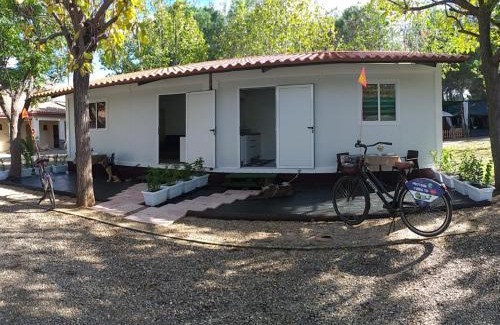 Riolobos Other | Camping las Catalinas