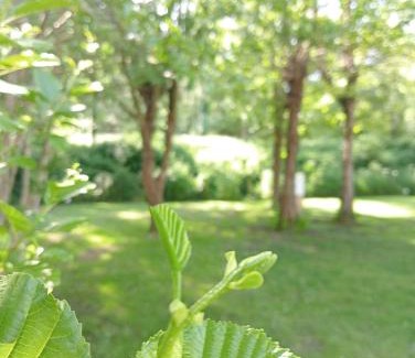 Avrille Other | Camping les Mancellieres