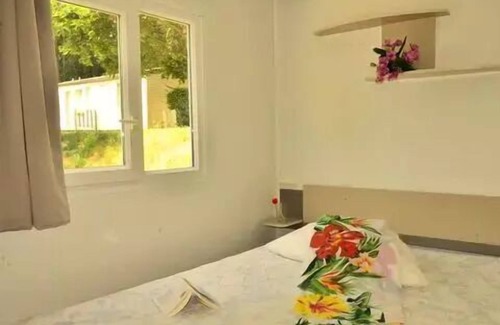 Pont-de-Salars House | Camping Les Terrasses Du Lac * - Mobilhome for 5 People