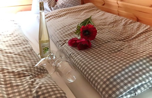 Regensburg House | Campingfass XXL - Regensburg