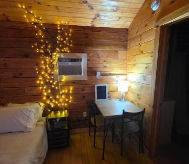 Waterloo Ski Chalet | Canal Cabin #4