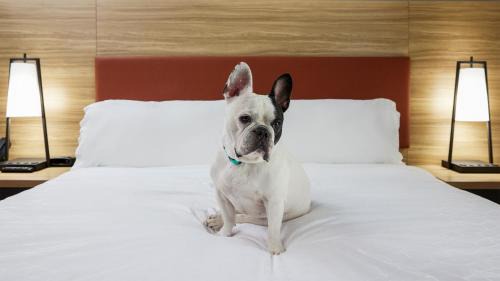 Junction City Hotel | Candlewood Suites Junction City - Ft. Riley by IHG