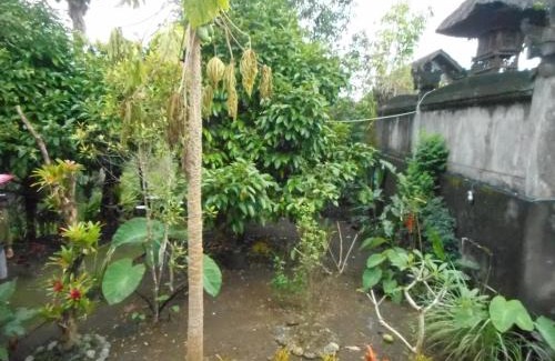 Besakih House | Candra Homestay Besakih
