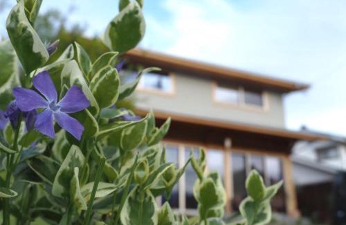 Ikeda House | CANOA GUEST HOUSE B room- Vacation STAY 47218v