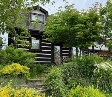 Ikeda House | CANOA GUEST HOUSE B room- Vacation STAY 47218v