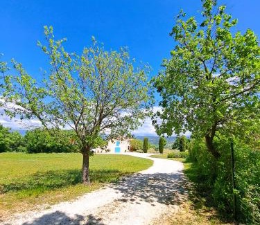 Lacoste House | Cante Grillet - 295 Chemin des Contards - 84480 Lacoste