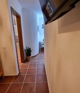Alter do Chão Apartment | Cantinho da Vila by Portus Alacer