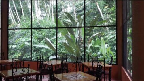 Marques de Comillas Hotel | Canto de la selva