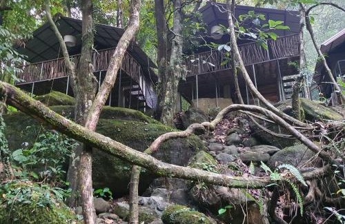 Kithulgala Resort | Canyon Girankitta Nature Resort