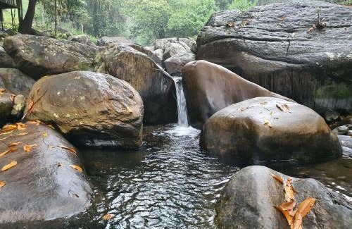 Kithulgala Resort | Canyon Girankitta Nature Resort