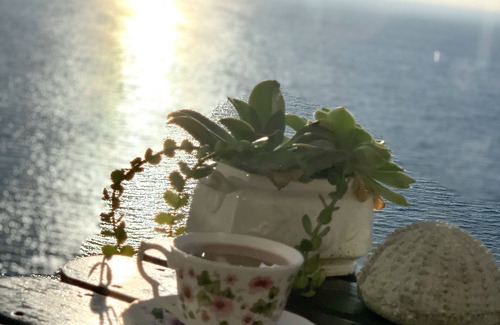 Fish Hoek Villa | Cape-x-ta-sea a home with picture perfect panoramic views of False Bay.