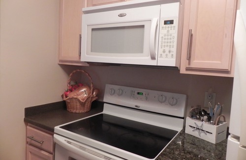 East Bank Condo | Captain's Quarters Riverfront #1