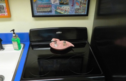 Cocoa Beach Villa | Cara Mia Blue Rose