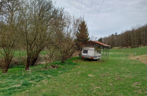 Lohma House | Caravan for 2 guests with 11m² in Löhma (267252)