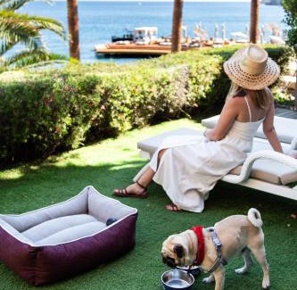 Bodrum City Center Resort | Caresse, a Luxury Collection Resort & Spa, Bodrum