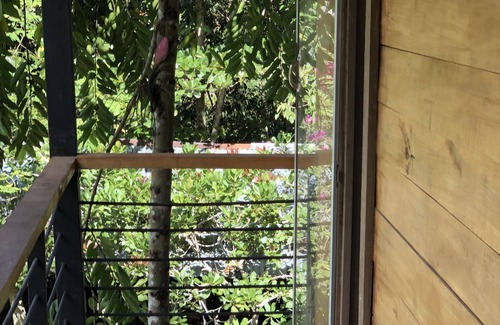 Cahuita House | Caribbean Experience